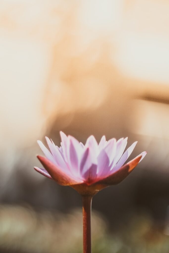 Nosotros Terapeuta de Biomagnetismo en Alicante